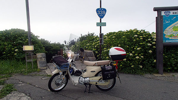 国道３３９号線の階段国道